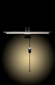 Lumina Brass Picture Light