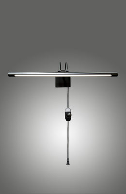 Lumina Brass Picture Light