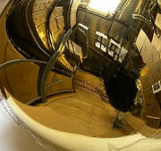 Melrose Metallic Bubble Pendant Light