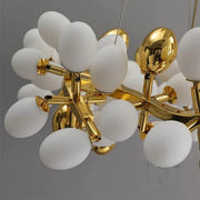 Niall Grape Shape Round Chandelier for Dinning