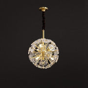 Dandelion Flowers Modern Crystal Spherical Chandelier Light